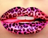 (BL)Leopardo labios