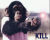 Killer monkey