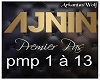 Ajnin - Premiers Pas