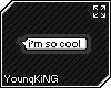 [YK]Im So Cool -sticker-