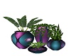 LIPS GROUP PLANTS