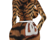$ Dolce LLXL Sweatsuit $