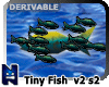 (N) TinyFish v2 School 2