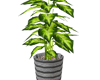 Potted Plant v2
