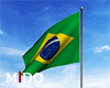 M1 Brazil flag