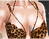 Ᏸ | Top Leopard