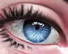 x Eyes 2TONES Blue/G