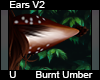 Burnt Umber Ears V2