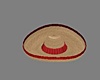 Mexican Sombrero 2