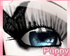 [Pup] Azn Eyelashes V22
