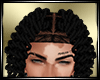 LS~Maleek Locs v2
