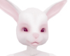 f anyskin bunny head