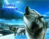 Howling Winter Wolves