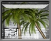 PSL Palm Tree Enhancer
