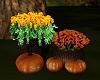 Autumn Decor