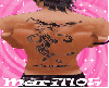 Fire Bird back tattoo