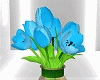 Tulips Blue