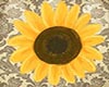 Sunflower Loft