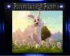 DF* Seasonal Bg