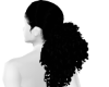 Ponytail Curly Hairstyle
