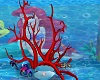Little Mermaid Coral