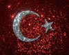 AYYILDIZ| Turkish Room