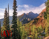 (AV) Rocky Mountain CO.