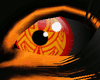 V Tribal O Tail 