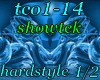 (shan)tco1-14 pt1/2