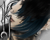 ╋━ BLUE+