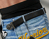 r. WA Pants