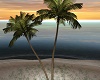 Animated Palm Trees