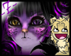 [z]Purple Meow Bundle