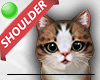 🐱 Shoulder Kitten M