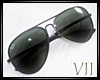 VII:Ray Ban Glasses