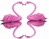 Flamingo's in Love anim.