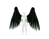 Matrix Wings