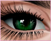 Boudoir - Dark Emerald