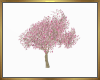 Magnolia Tree Derive