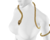 gold snake arm & neck