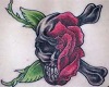 Skull/Rose Tatoo