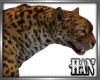 [H]Leopard ► Pet