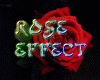 Roses Effect