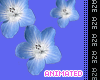 Blue Flowers Animated