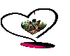 love foto