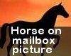 (MR) Horse Mailbox Pic