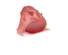 Vday Light Chair