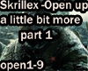 Skrillex-Open up Par1