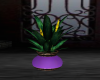  Potted Plant