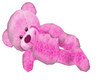 Pink Cuddle Teddy
